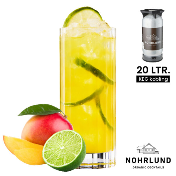 Nohrlund Gin & Mango Smash